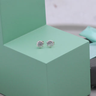Seashell Studs